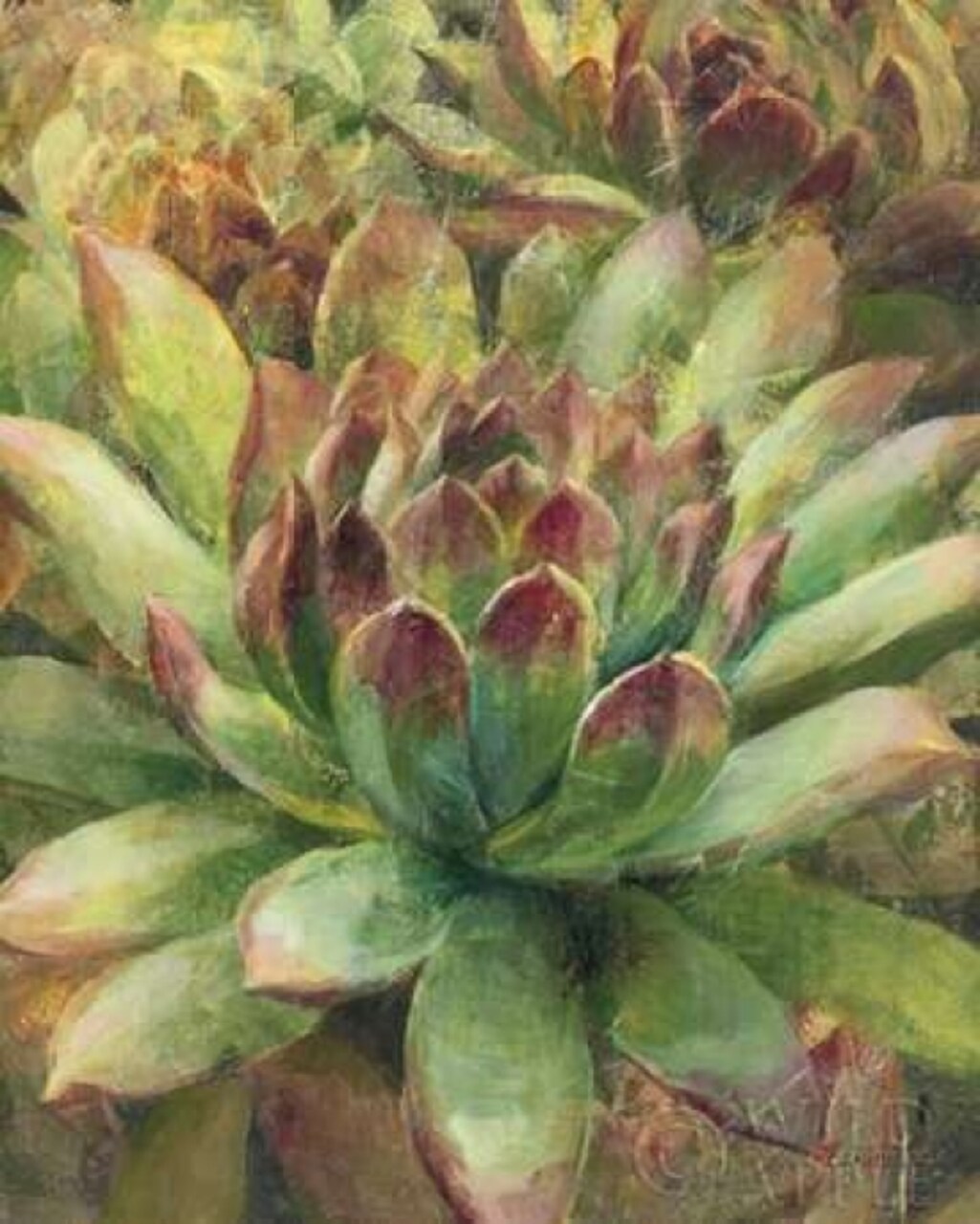 Nature Delight III Poster Print by Danhui Nai - Item # VARPDX13777